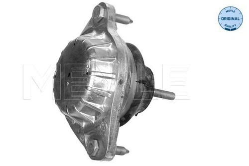 Meyle 100 199 0046 engine - 100,