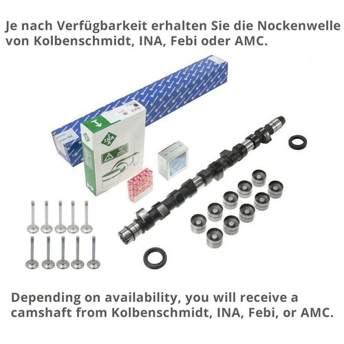 Camshaft hydraulic tappet - hydraulic, +