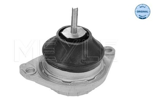 Meyle 100 199 0092 - , engine